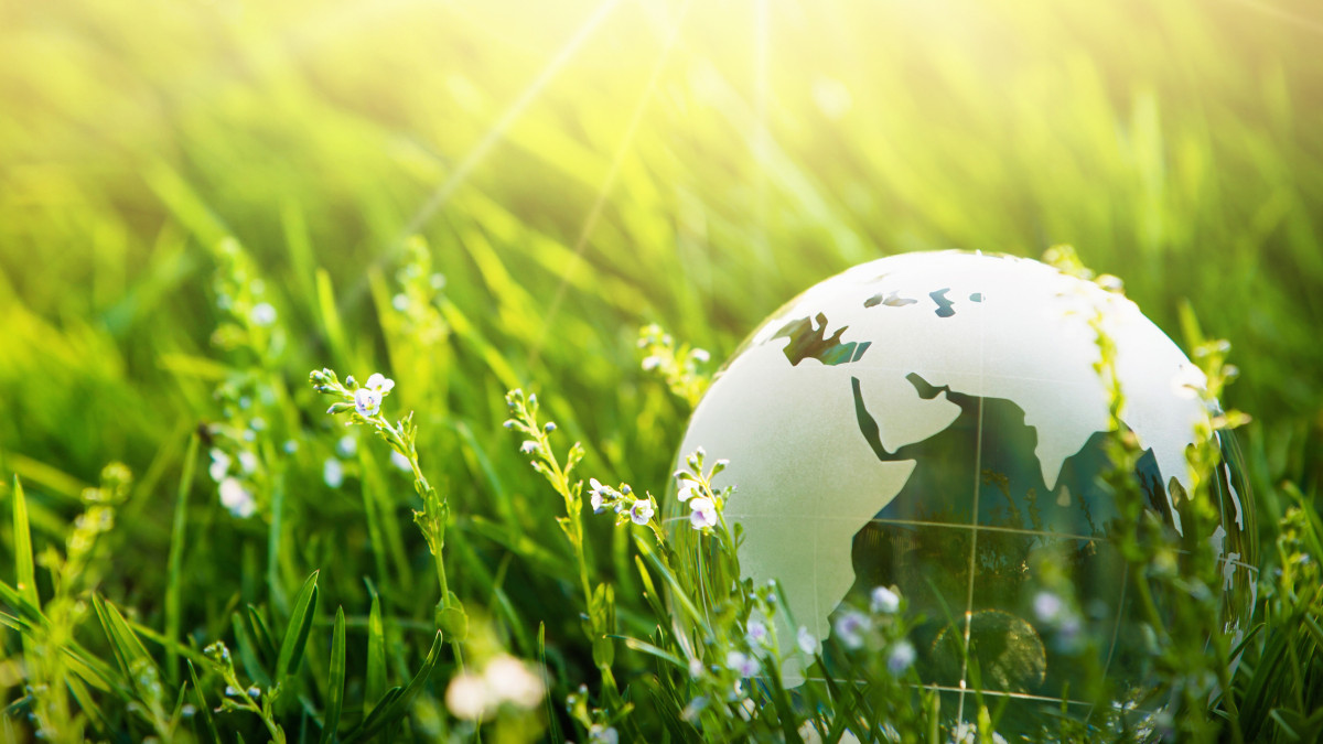 Corporate Social Responsibility (CSR) Social Responsibility